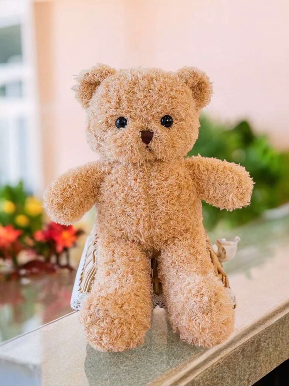 Teddy Bear Fuzzy Soft Plushie